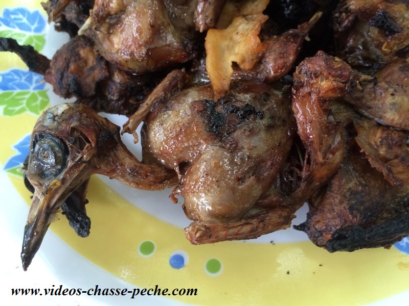 recette grive crapaudine recette grive crapaudine